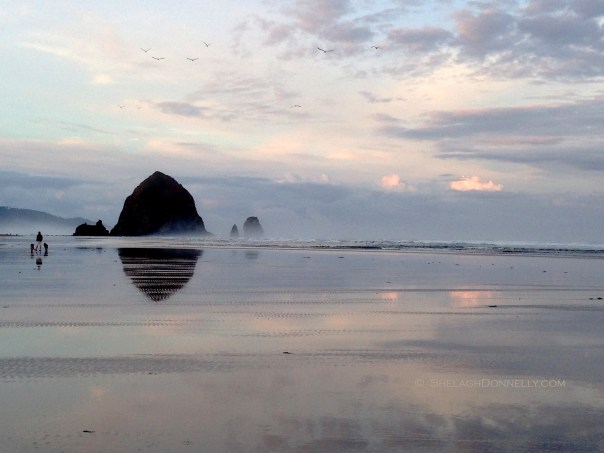 Cannon Beach Daybreak 2186 Copyright Shelagh Donnelly