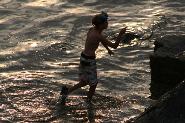 Tuwanek Summer Copyright Shelagh Donnelly