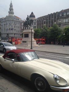 Luxury Copyright Shelagh Donnelly