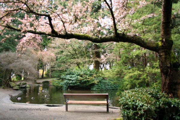 Haiku 2308 Copyright Shelagh Donnelly