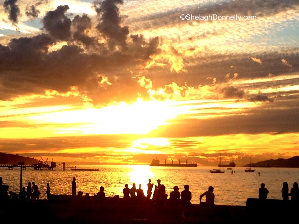 Good Night, Kits Copyright Shelagh Donnelly