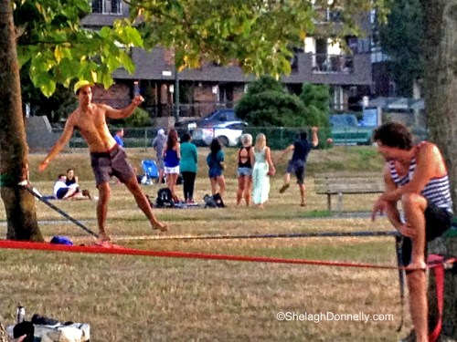 Kits Tight Rope Copyright Shelagh Donnelly