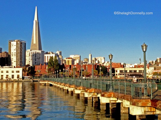 San Francisco 0797 Copyright Shelagh Donnelly