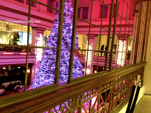 Marshall Field's-Macy's Chicago5008 Copyright Shelagh Donnelly