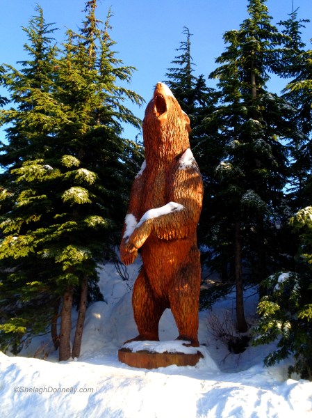 Grouse Bear 0977 Copyright Shelagh Donnelly