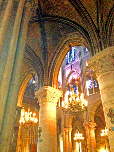 Notre Dame 8810 Copyright Shelagh Donnelly