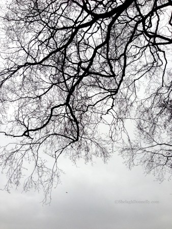 Spanish Banks Fog 3425 Copyright Shelagh Donnelly