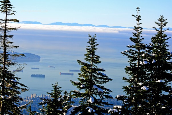 Vancouver from Grouse 2668 Copyright Shelagh Donnelly copy