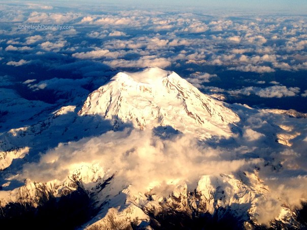 Mount Rainier Copyright Shelagh Donnelly