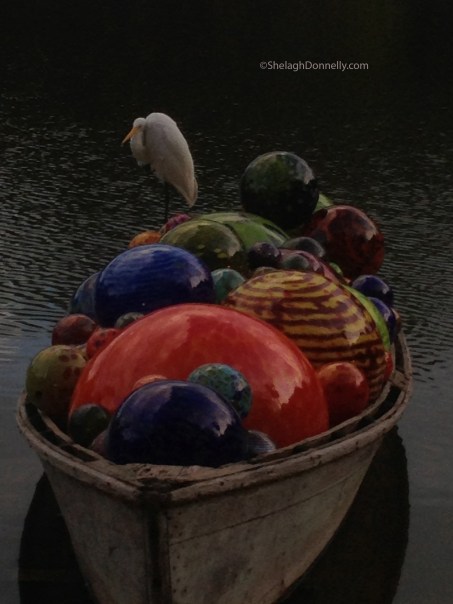 Bird in Boat 4980 Copyright Shelagh Donnelly