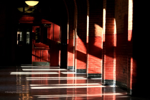 Georgetown U 4488 Copyright Shelagh Donnelly