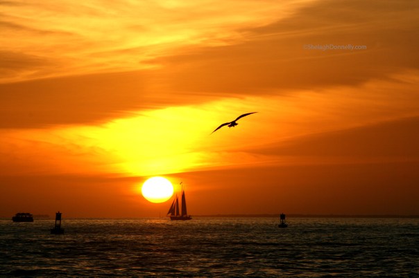 Key West Sunset 3016 Copyright Shelagh Donnelly