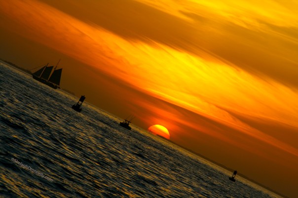 Mallory Sq Sunset 3033 Copyright Shelagh Donnelly