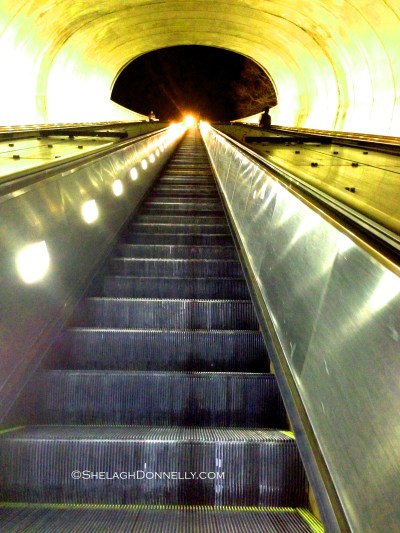 Dupont Circle Metro 5782 Copyright Shelagh Donnelly