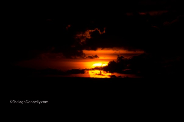 Miami Beach Sunrise 4044 Copyright Shelagh Donnelly