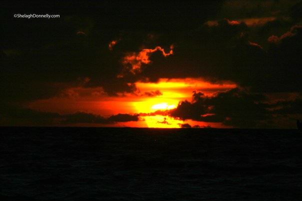 South Beach Sunrise 4044 Copyright Shelagh Donnelly