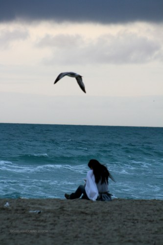 Miami Beach 3855 Copyright Shelagh Donnelly