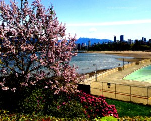 Spring by Kits Pool_7656 Copyright Shelagh Donnelly