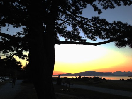 Spanish Banks 9123 Copyright Shelagh Donnelly