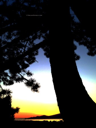 Spanish Banks 9125 Copyright Shelagh Donnelly