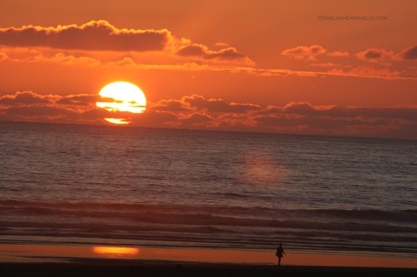 Cannon Beach Oregon 6072 Copyright Shelagh Donnelly