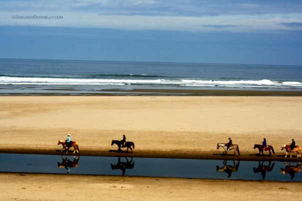 Cannon Beach Oregon 6102 Copyright Shelagh Donnelly