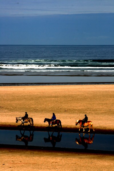 Cannon Beach Oregon 6111 Copyright Shelagh Donnelly