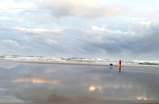 On the Water 2191 Copyright Shelagh Donnelly