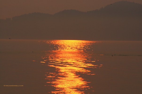 Spanish Banks Sunset 5425 Copyright Shelagh Donnelly