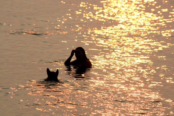 Spanish Banks Sunset Swim 5300 Copyright Shelagh Donnelly