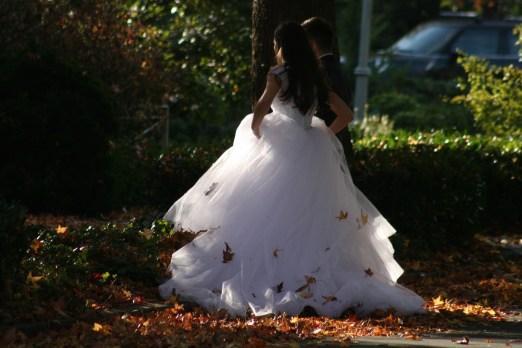 Fall Wedding 7795Copyright Shelagh Donnelly