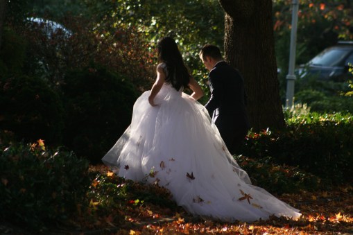 Fall Wedding 7796 Copyright Shelagh Donnelly