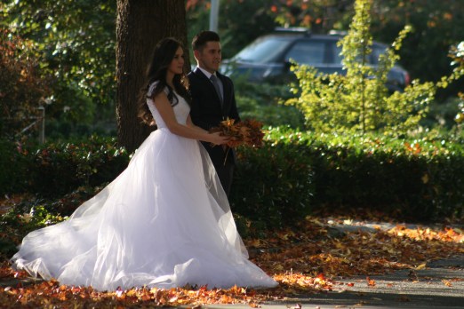 Fall Wedding 7788 Copyright Shelagh Donnelly