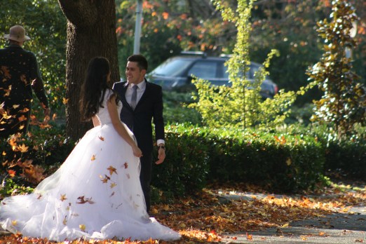 Fall Wedding 7792 Copyright Shelagh Donnelly