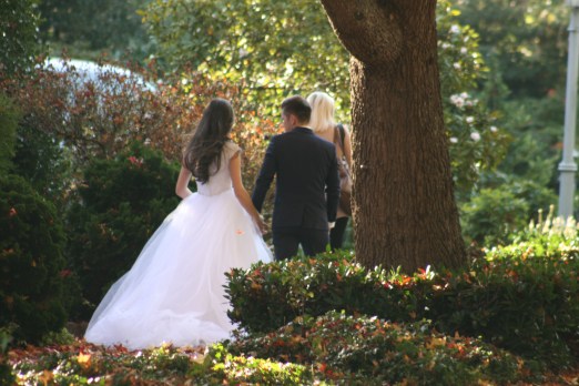 Fall Wedding 7799 CCopyright Shelagh Donnelly