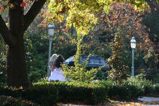 Fall Wedding 7801 Copyright Shelagh Donnelly