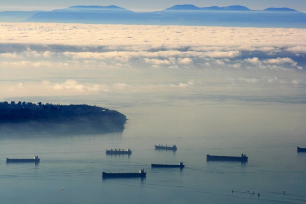 Vcr Harbour and UBC Endowment Lands Copyright Shelagh Donnelly