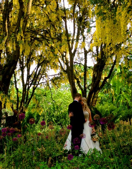 Van Dusen Wedding 5838 Copyright Shelagh Donnelly