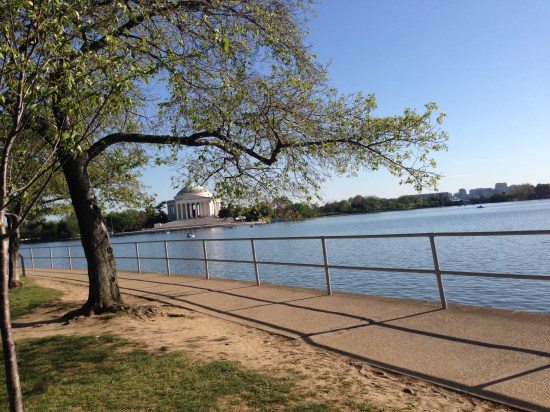 Washington Tidal Basin Copyright Shelagh Donnelly