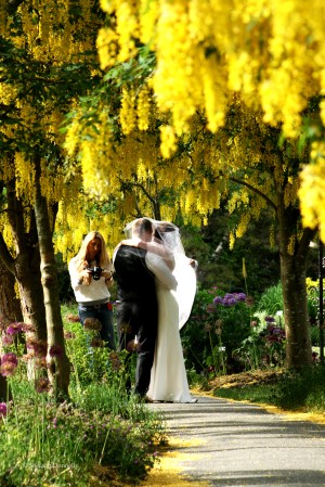 Wedding in the Park Copyright Shelagh Donnelly