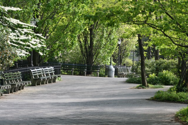 Battery Park 5986 Copyright Shelagh Donnelly