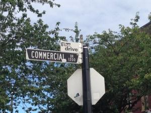 The Drive Copyright Shelagh Donnelly