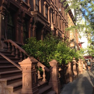 Hell's Kitchen Brownstones 9939 Copyright Shelagh Donnelly