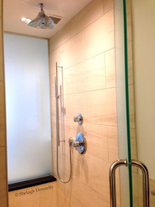 Ink 48 Shower Copyright Shelagh Donnelly