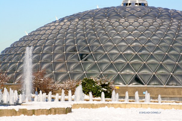 bloedel-conservatory-2420-copyright-shelagh-donnelly