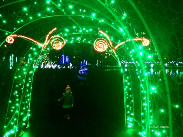 christmas-lights-at-lafarge-lake-7724-copyright-shelagh-donnelly