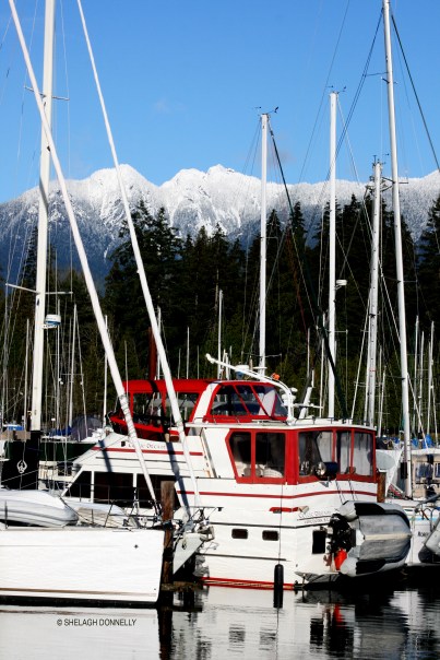 coal-harbour-dec-16-2631copyright-shelagh-donnelly