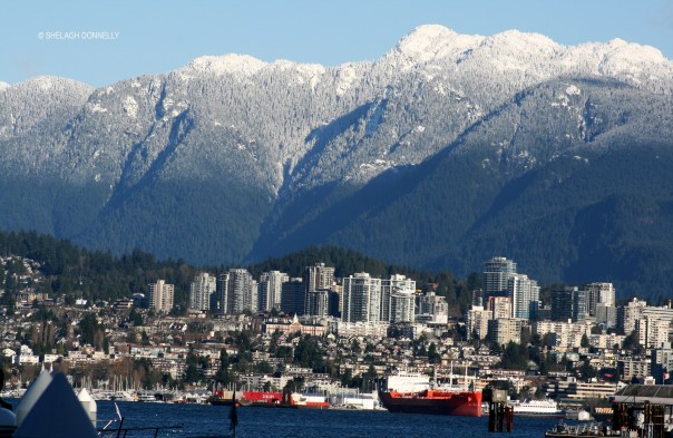 dec-in-vancouver-2365-copyright-shelagh-donnelly