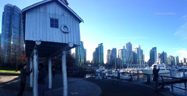 Light Shed Coal Harbour 8092 Copyright Shelagh Donnelly
