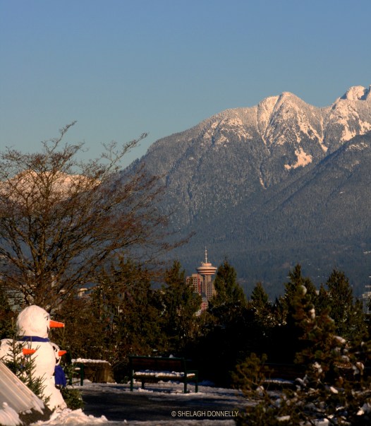 north-shore-mtns-from-queen-e-2403-cropped-copyright-shelagh-donnelly